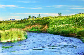 Environmental